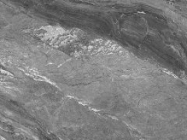 1629431677828337.jpg 1-210F51I113-lp_272_204.jpg